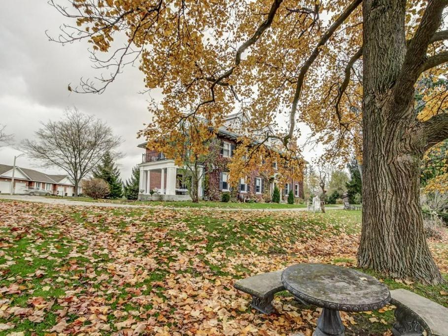 Clonmel Castle Ξενοδοχείο Port Dover Εξωτερικό φωτογραφία